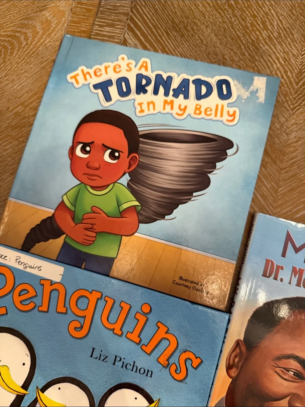 Children’s Book Lot of 6 – Phonics, Penguins, MLK, Social Emotional Learning & J
